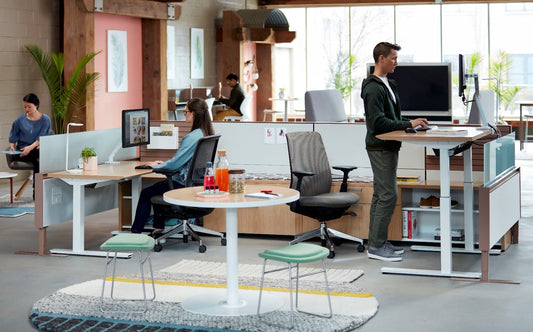The Art of Sitting: Task Seating Excellence with Haworth Chairs