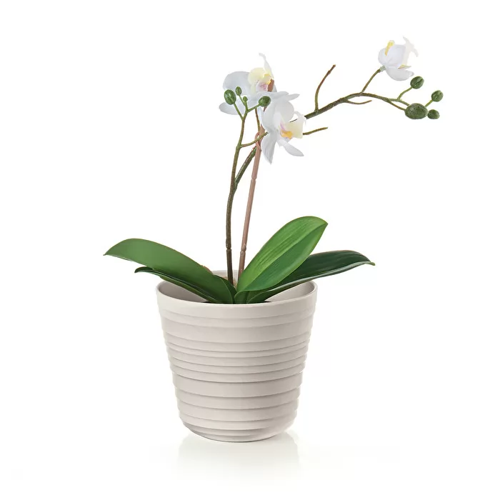 Guzzini Tierra single plant pot holder 12.8x12 cm milk white