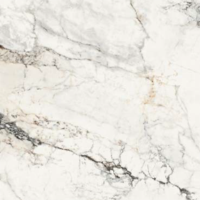 Lafaenza Paonazzaetto 600x1200 matt AEPAO612RM