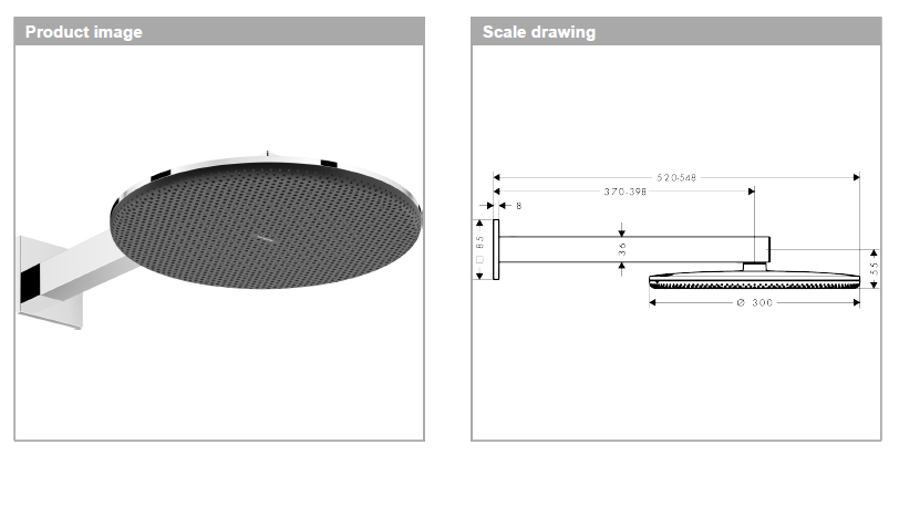 Hansgrohe Raindance Alive S overhead shower 300mm 2jet with arm 24540.000