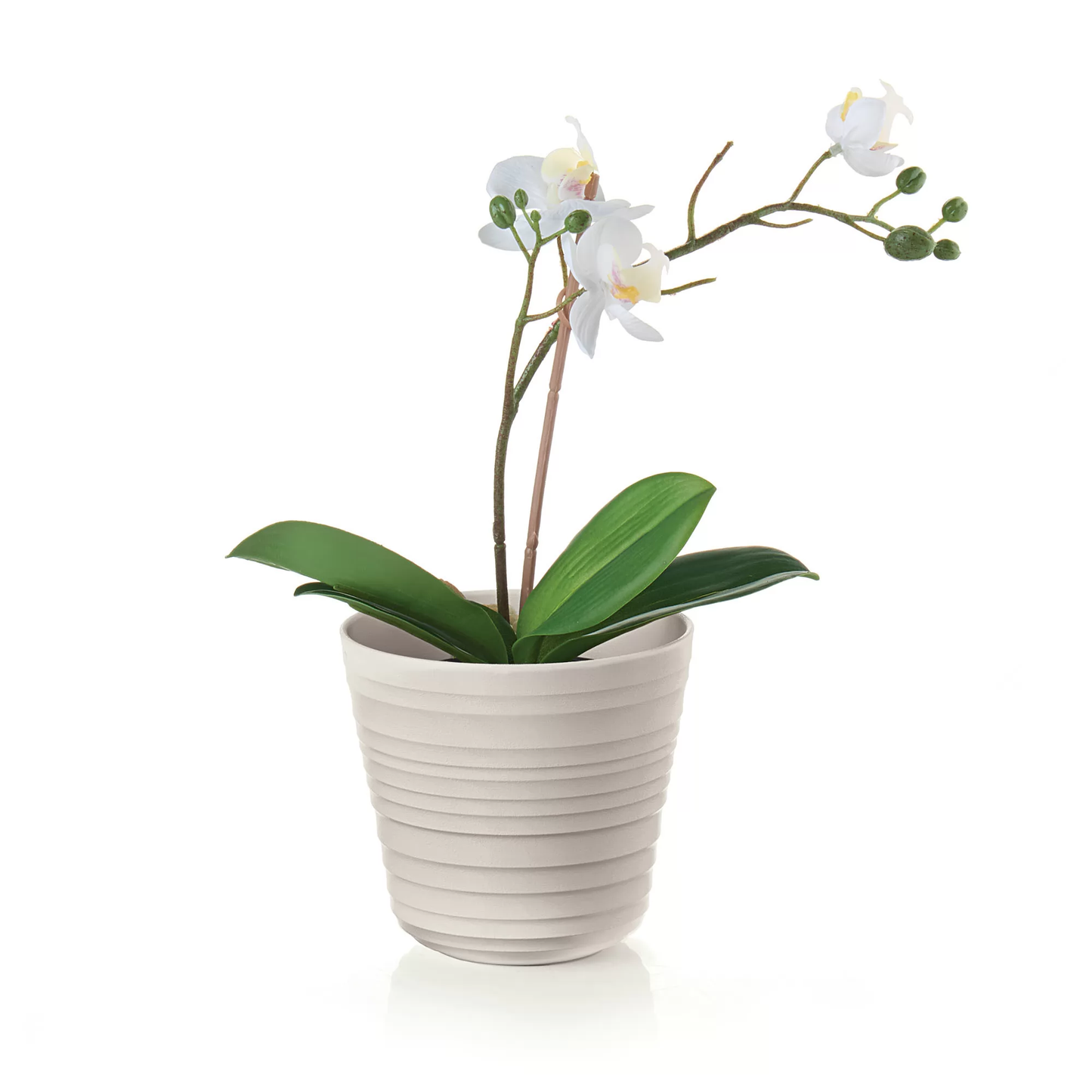 Guzzini Tierra single plant pot holder 12.8x12 cm taupe