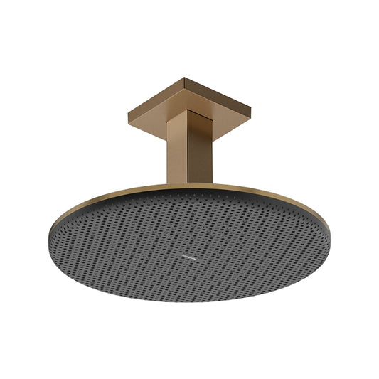 Hansgrohe Raindance AliveS overhead shower 300mm 24520.140 + 24338.140 ceiling connector