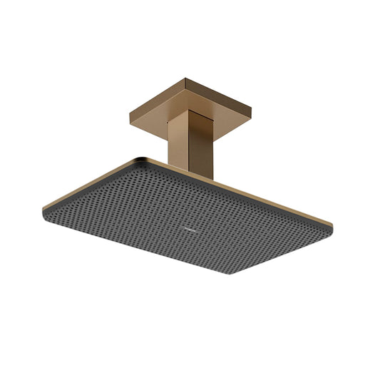 Hansgrohe Raindance Alive Q overhead shower 300 1jet with ceiling connector 24530.140 + 24338.140