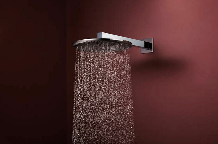Hansgrohe Raindance Alive S overhead shower 300mm 2jet with arm 24540.000