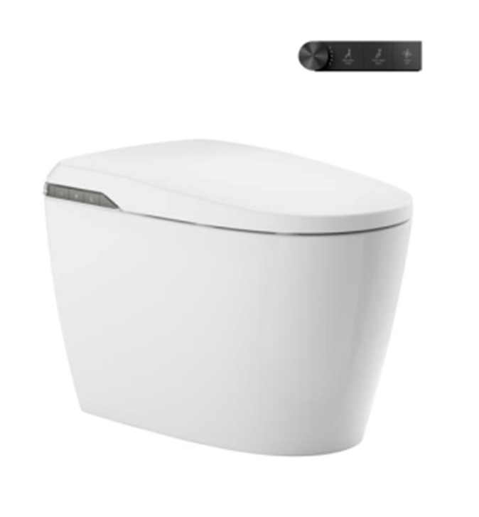 Roca In-wash Insignia 2.0 intelligent toilet A803146002